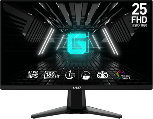 MSI 24,5" G255F Rapid Gaming Monitor