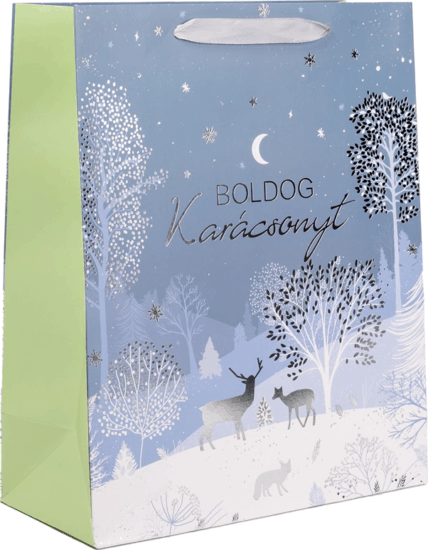 Iris Szalagfüles Papír ajándéktasak Boldog Karácsonyt felirattal (26x32 cm) - Kék/Zöld Iris Szalagfüles Papír ajándéktasak Boldog Karácsonyt felirattal (26x32 cm) - Kék/Zöld