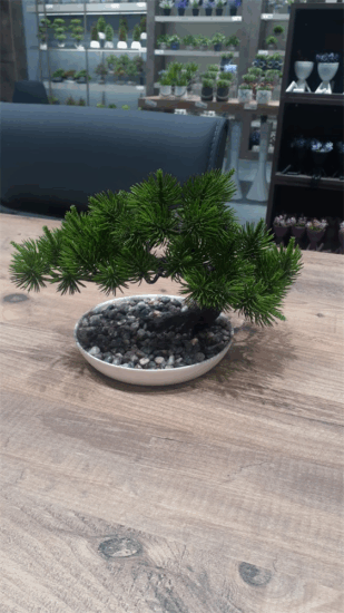 Iris E5778 Bonsai dekoráció művirággal cserépben 25x18cm - Többféle Iris E5778 Bonsai dekoráció művirággal cserépben 25x18cm - Többféle