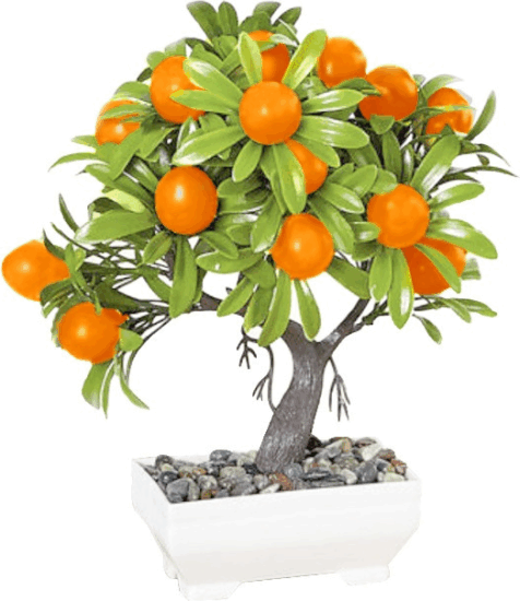 Iris E5697 Mandarin dekoráció művirággal cserépben 18x24cm