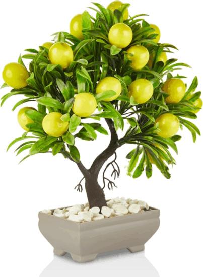 Iris E5638 Citromfa dekoráció művirággal cserépben 18x24cm