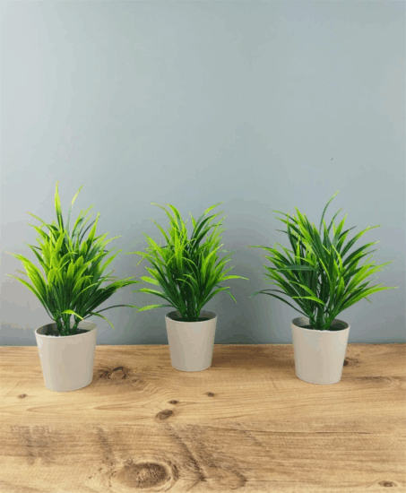 Iris E5792 Cserepes művirág Asztali Dekoráció 10x19cm