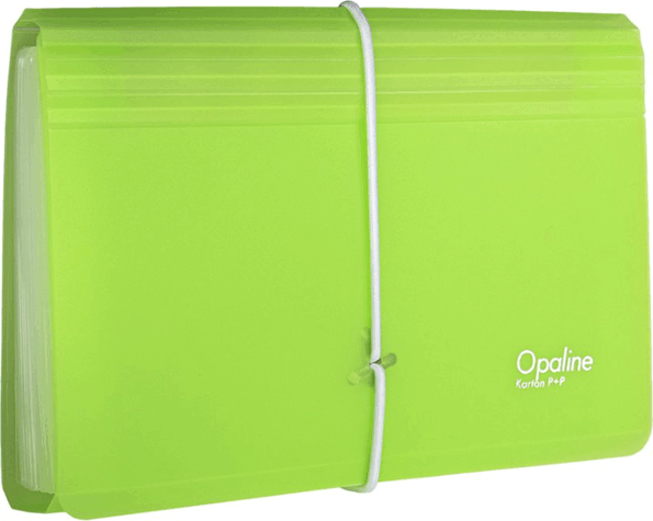 Oxybag Opaline PP DL 13 rekeszes Harmónika irattartó tasak - Zöld