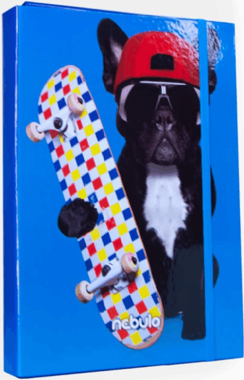 Nebulo A4 karton füzetbox - Deszkás bulldog mintás
