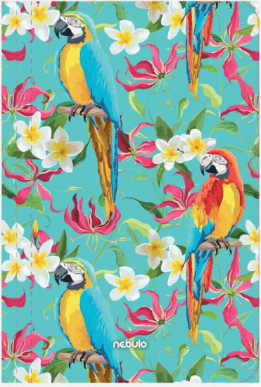 Nebulo A4 karton gumismappa - Papagáj mintás
