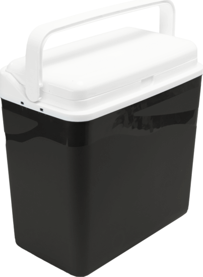 Flair 61630 New Star hűtőtáska 24L - Antracit