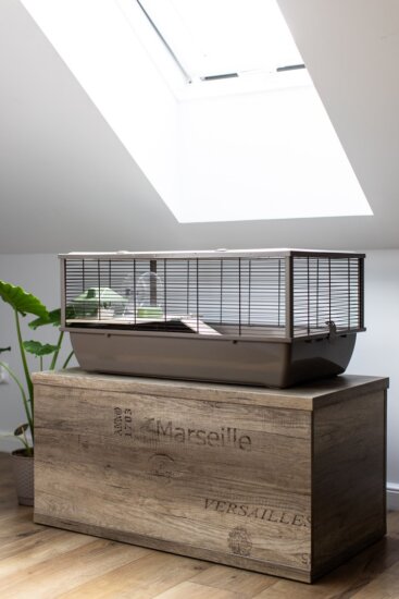 INTER-ZOO Bob Rágcsáló Ketrec (78 x 36 x 48cm) - Barna INTER-ZOO Bob Rágcsáló Ketrec (78 x 36 x 48cm) - Barna