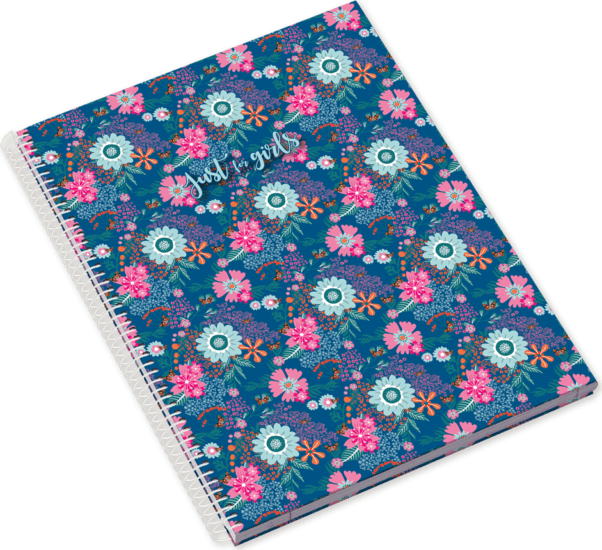 Ambar Just for Girls 80 lap A4 vonalas spirálfüzet - Többfajta