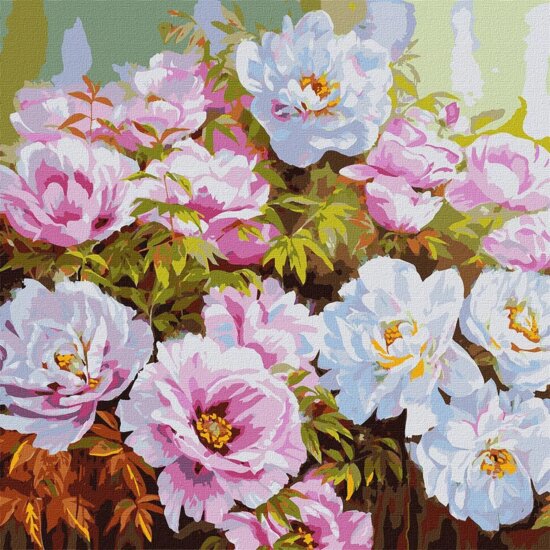 Ideyka Festés számok szerint Pünkösdi rózsák - 50 x 50 cm