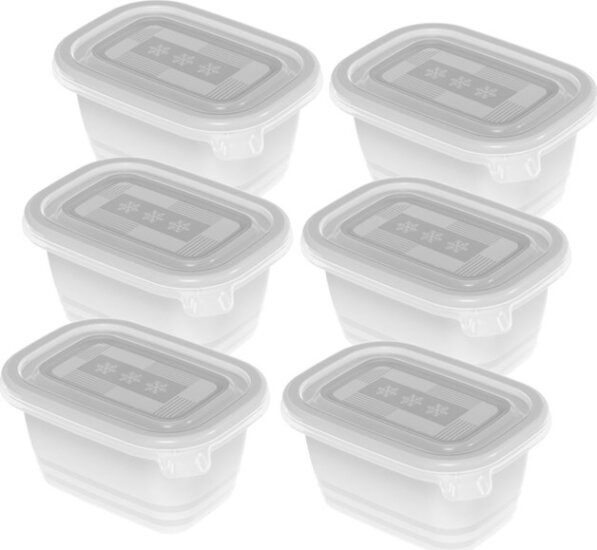 Rotho Freeze Fagyasztható ételtároló készlet 0.25L (6 db)