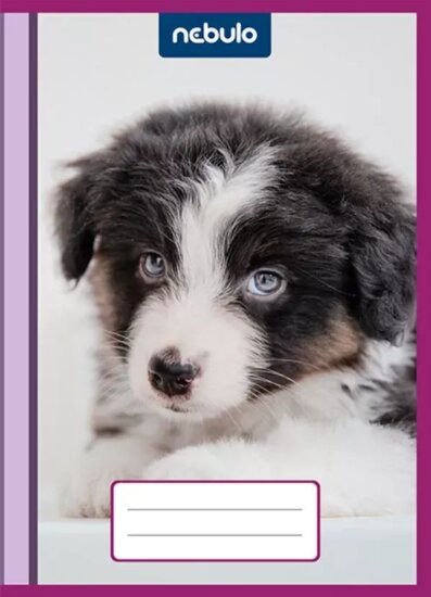 Nebuló Cuki Mintás 50 mikron A5 Bújtatós füzetborító (10 db / csomag)