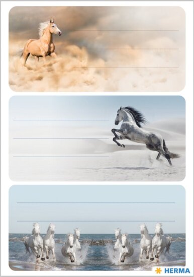 Herma Vágtató lovak Füzetcímke (6 db / csomag) - Mintás
