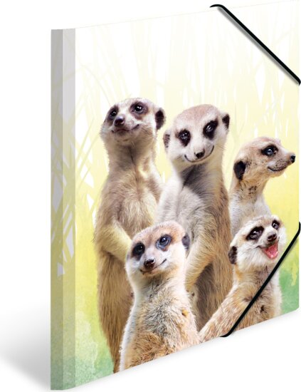 Herma Szurikáta A4 Gumis mappa - Mintás