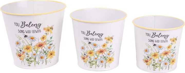 Iris Kerek Bádog 15 - 11,5 cm kaspó 3 darab - Fehér margaréta mintás Iris Kerek Bádog 15 - 11,5 cm kaspó 3 darab - Fehér margaréta mintás