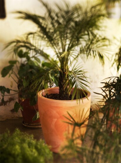 New Garden Violeta 32x30cm Kaspó - Terrakotta