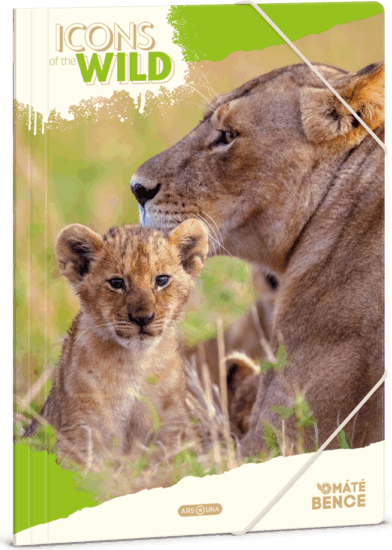 Ars Una Icons of the Wild-Lions A4 Gumis mappa - Mintás