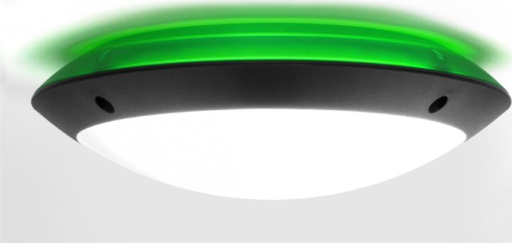 Fumagalli Lucia Kerek LED kültéri falilámpa Zöld háttérvilágítással - Fekete