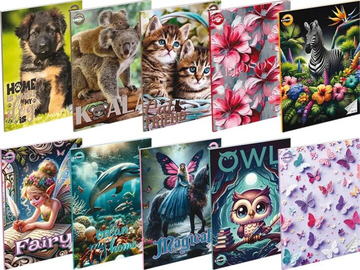 T-Creativ 32 lapos 4. osztályos A5 Girls vonalas füzet - Többféle