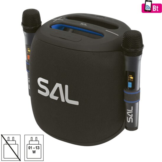 SAL PARCUBE Vízálló Bluetooth hordozható hangszóró + 2db vezeték nélküli mikrofon 100W - Fekete