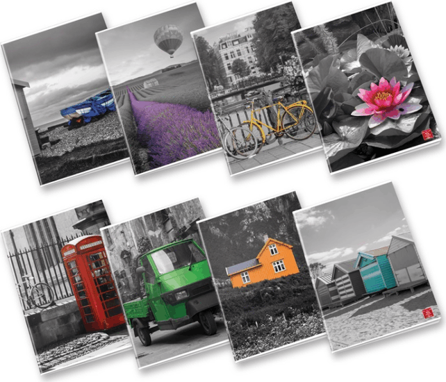 Pigna Touch of Color A4 42 lapos Vonalas füzet - Többféle