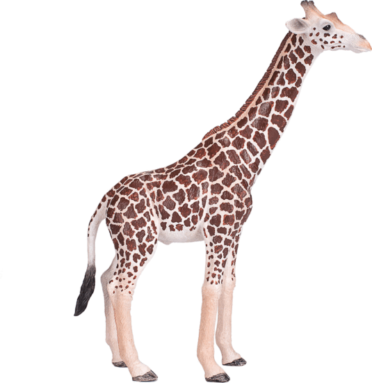 Mojo Wildlife Kézzel festett Hím zsiráf figura 17cm Mojo Wildlife Kézzel festett Hím zsiráf figura 17cm
