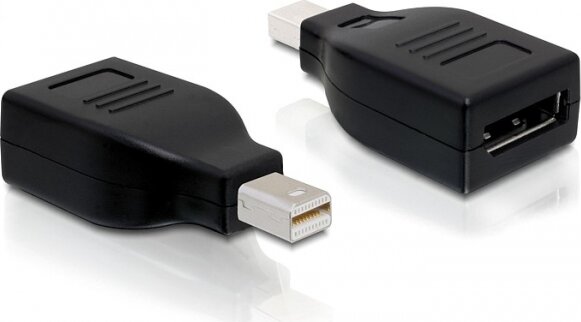 DeLOCK Displayport mini apa > Displayport anya adapter DeLOCK Displayport mini apa > Displayport anya adapter