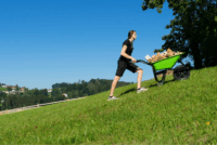 Zipper ZI-EWB500LI Akkus Elektromos Talicska 6000mAh max 150kg - Zöld