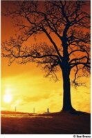 Harman Red 125 135/36 Színes Negatív film