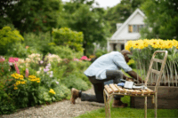 Philips SCD953/26 Wireless Akkus Digitális Babamonitor Bébiőr