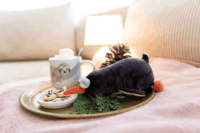 Nici Jorge Thunder fekvő pingvin plüssfigura 20 cm