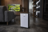 Hisense D20CW Párátlanító 4,2L / 270W - Fehér