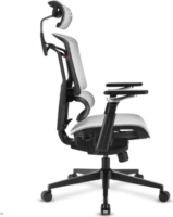 Sharkoon OfficePal C50M Irodai Görgős Forgószék - Szürke