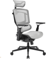 Sharkoon OfficePal C50M Irodai Görgős Forgószék - Szürke