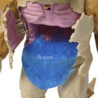 Spin Master Superman - Kaiju Battle Akciófigura szett