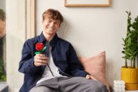 Zuru 10041 Max Rózsa 247 Darabos Építőjáték