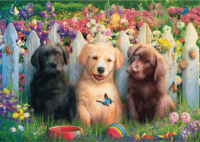 Schmidt Spiele 58883 Cuki kiskutyák 1000 darabos puzzle