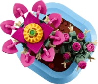 LEGO 11509 Botanicals - Virágzó Kaktusz