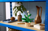 LEGO 11504 Botanicals - Vitorlavirág