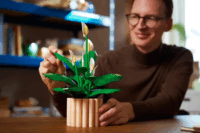 LEGO 11504 Botanicals - Vitorlavirág