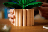 LEGO 11504 Botanicals - Vitorlavirág