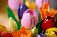 LEGO 11501 Botanicals - Tulipáncsokor