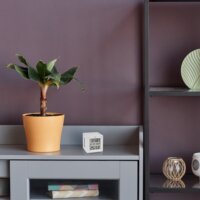 TFA 35.8103.02 Wi-Fi átjáró TFA.me rendszerhez - Fehér