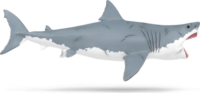 Schleich 15055 Dinosaurs Megalodon Játékfigura