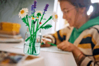 LEGO 11508 Botanicals - Százszorszépek