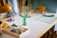 LEGO 11508 Botanicals - Százszorszépek