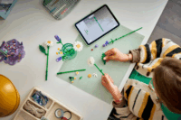 LEGO 11508 Botanicals - Százszorszépek