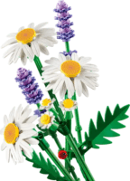 LEGO 11508 Botanicals - Százszorszépek