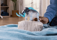Schleich Eldrador 70829 Frost mammut Játékfigura