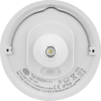 REV LED Akkus Palackba dugható Asztali LED lámpa 13.8cm - RGB