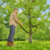 Gardena 12031-88 EasyCut L Ágvágó olló